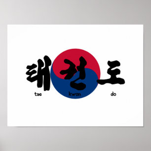 Poster Tae Kwon Do avec drapeau