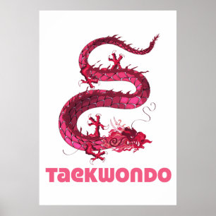 Poster Taekwondo