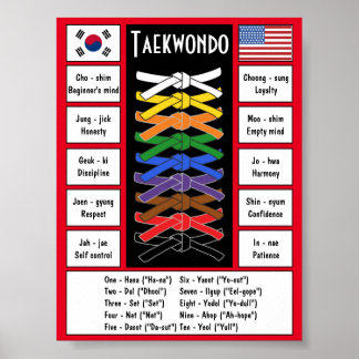 Poster Taekwondo