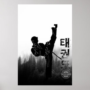 Poster Taekwondo Corée High Kick