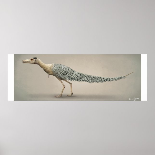 Poster Taille de la vie Shuvuuuia (Devant)