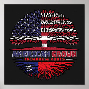 Poster Taïwanais Taïwan États-Unis États-Unis
