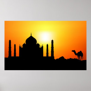 Poster Taj Mahal & Camel Sur Arrière - plan Coucher De So