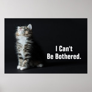 Poster Tall Tabby