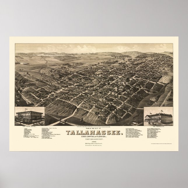 Poster Tallahassee, FL Carte panoramique - 1885 (Devant)