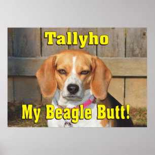 Poster Tallyho Mon Beagle Butt ! Beagle grincheux