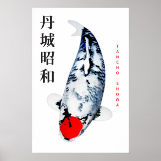 Poster Tancho Showa Koi Elegance