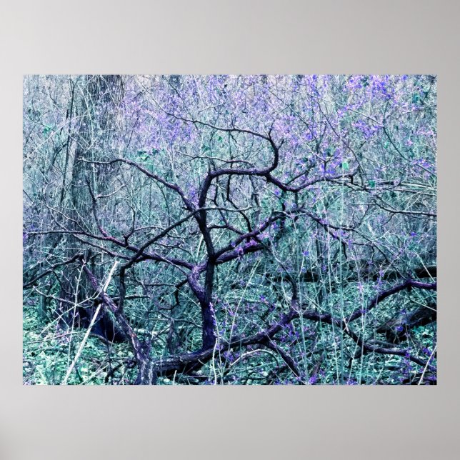 Poster Tangle In Blue (Devant)