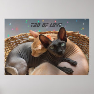 Poster Tao of Love - Deux Chats Sphynx Personnalisés