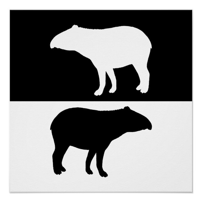 Poster Tapir (Devant)