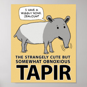 Poster Tapir drôle et mignon mais odieux