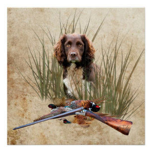 Poster Tapisserie espagnole Sprocker