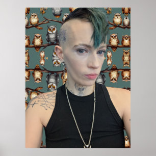 Poster Tara Owls