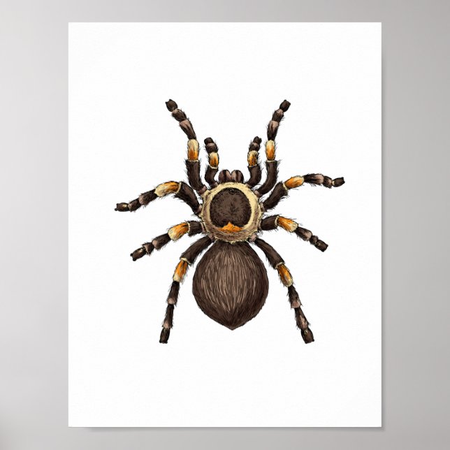 Poster Tarantula (Devant)