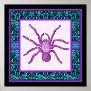 Poster Tarantula - Elégante frontière Turquoise et Fuschi