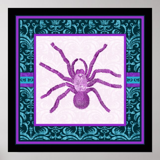 Poster Tarantula - Elégante frontière Turquoise et Fuschi (Devant)