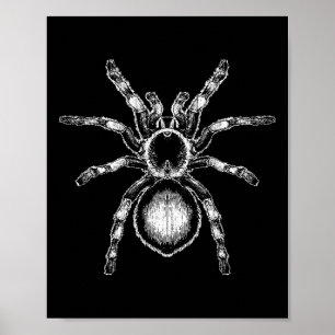 Poster Tarantula énorme araignée Phobia Costume d'Hallowe
