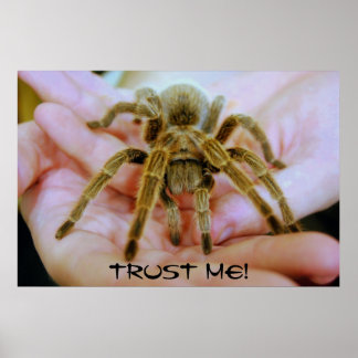 Poster Tarantula, Faites-moi confiance !