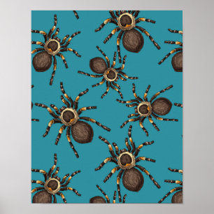 Poster Tarantula sur bleu