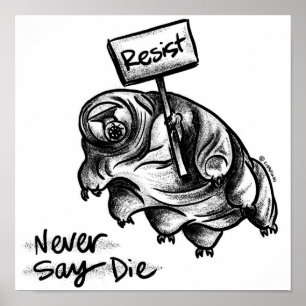 Poster Tardigrade de résistance