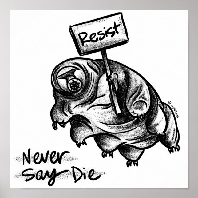Poster Tardigrade de résistance (Devant)