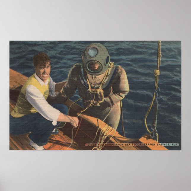 Poster Tarpon Springs, FL - Vue du plongeur Boa ascendant (Devant)