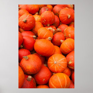 Poster Tas de petits citrouilles, Allemagne