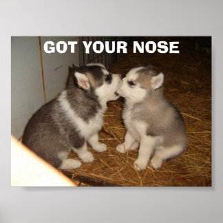 POSTER T'AS LE NEZ
