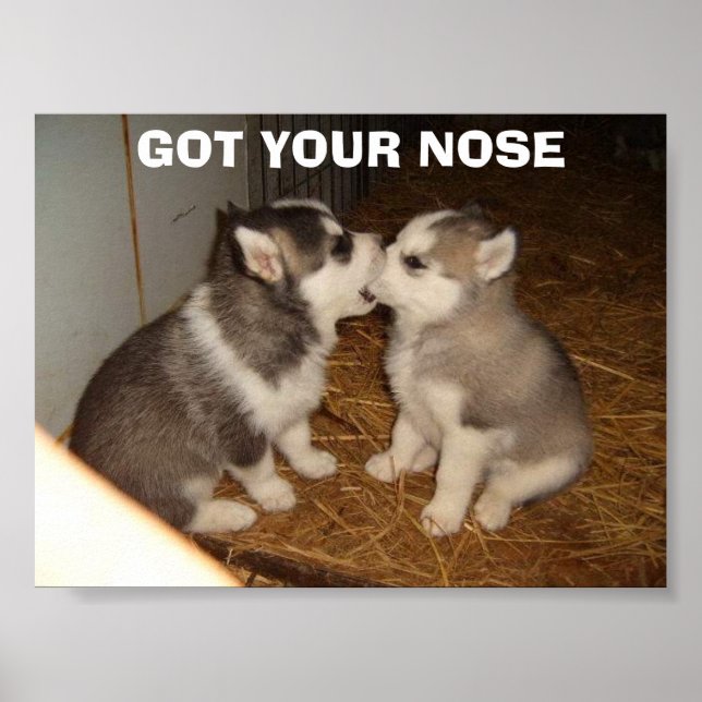 POSTER T'AS LE NEZ (Devant)
