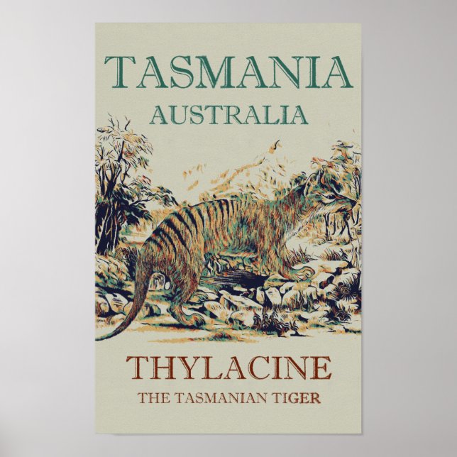 Poster Tasmanie tigre, thylacine, Tasmanie Australie (Devant)