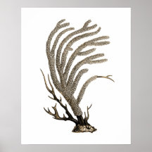 Taupe Sea Coral n° 2 Beach Wall Art