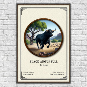 Poster Taureau Black Angus Série de zoologie