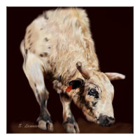 Taureau de rodéo blanc