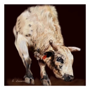 Poster Taureau de rodéo blanc