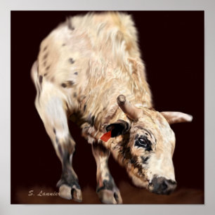 Poster Taureau de rodéo blanc