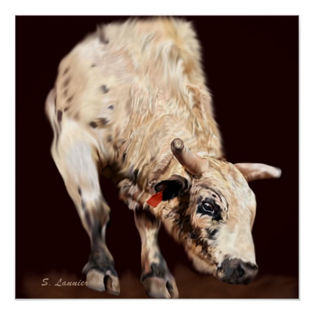 Poster Taureau de Rodéo Blanc qui Roule (Devant)