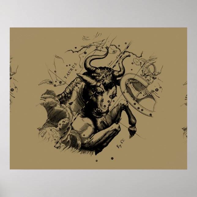 Poster Taurus Constellation Hevelius 1690 Engraving (Devant)