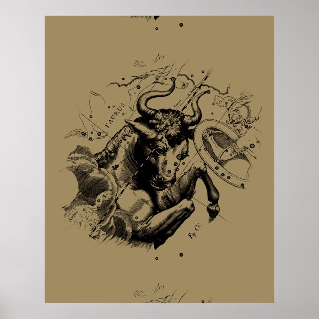 Poster Taurus Constellation Hevelius 1690 Engraving (Devant)
