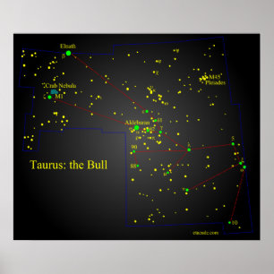 Poster Taurus la constellation Bull