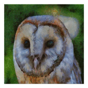 Poster Tawny Owl En Pointillisme