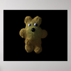 Poster Teddy