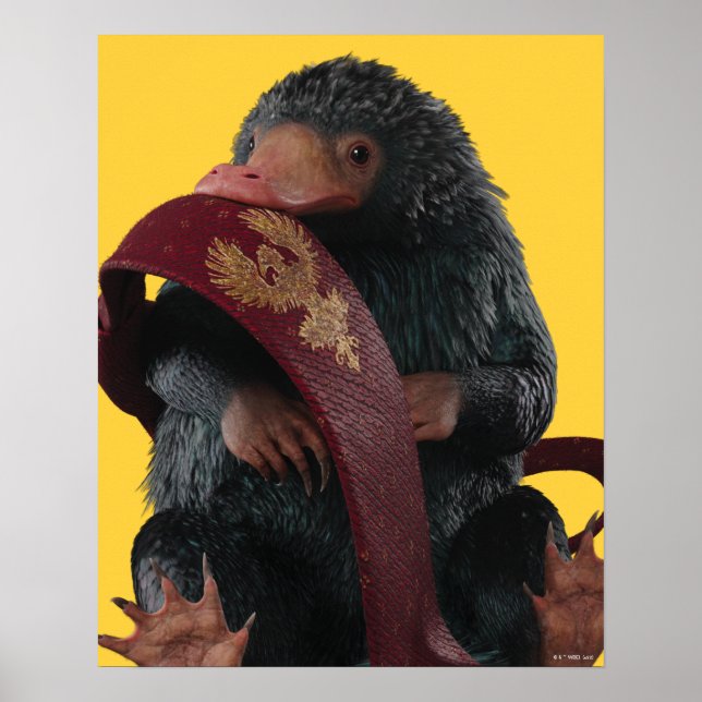 Poster Teddy Avec Cravate Graphique (Devant)