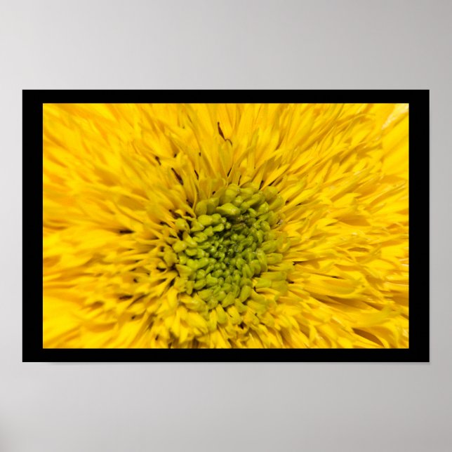 Poster Teddy Bear Sunflower Blossom (Devant)