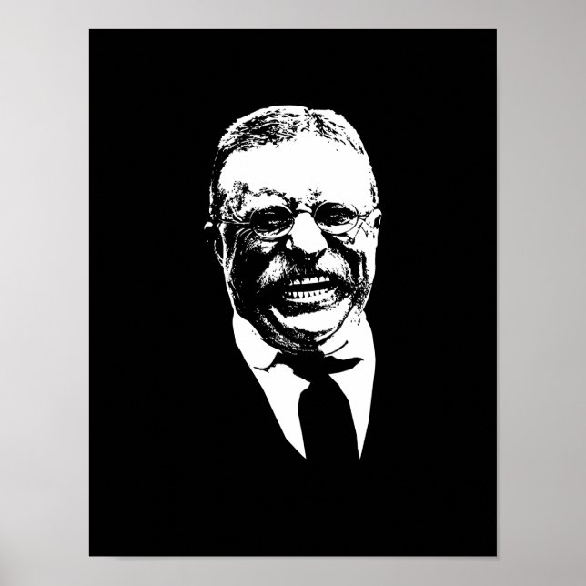 Poster Teddy Roosevelt (Devant)