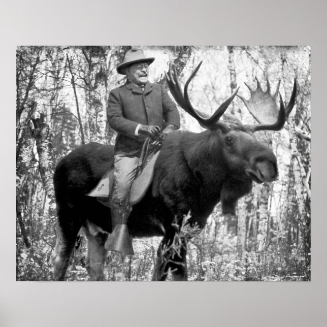 Poster Teddy Roosevelt À L'Épreuve D'Une Oie À Taureau (Devant)
