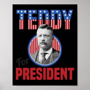 Poster Teddy Roosevelt Pour Président Bull Moose Theodore