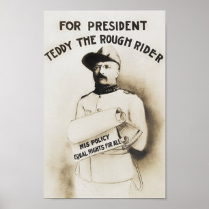 Poster Teddy The Rough Rider - Pour Président - 1904