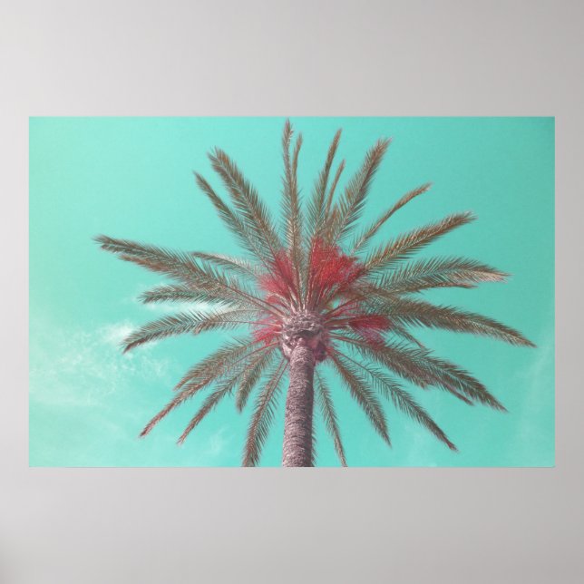 Poster Téléchargeable photo Blue Sky Palm Tree (Devant)