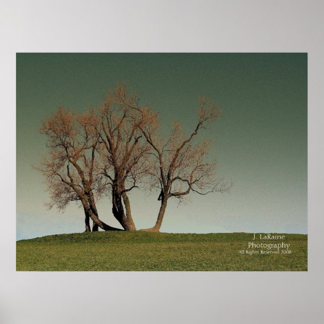 Poster Tempête (Devant)