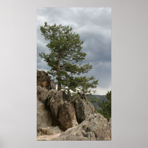 Poster Tempête de approche